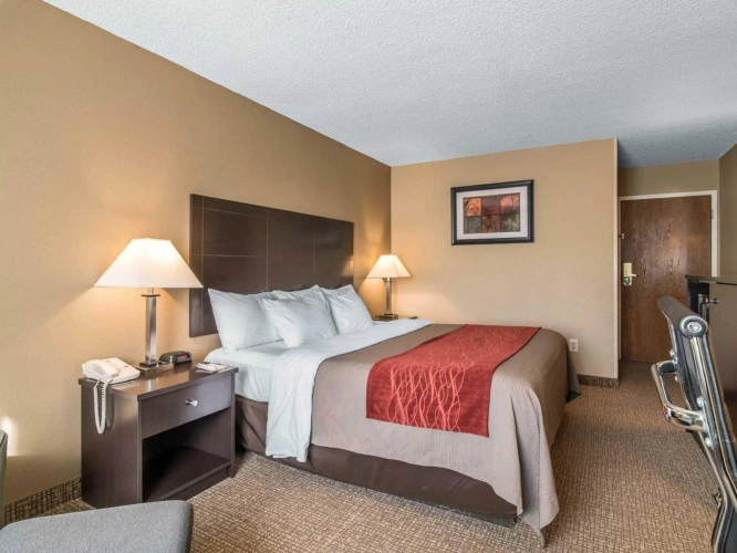 Standard room