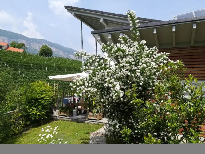 Casa Clima Tandem