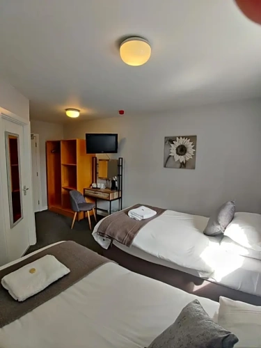 Standard Double room with garden view