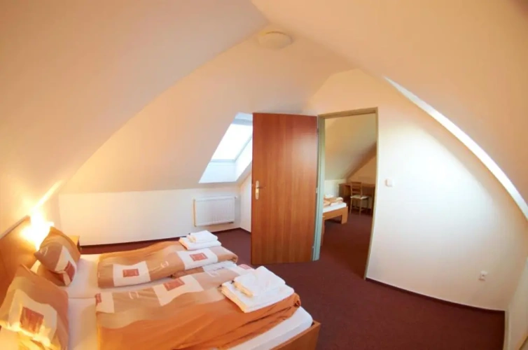 1 Bedroom Suite