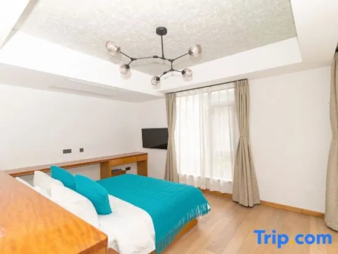 Economy Double room with balcony and with mountain view