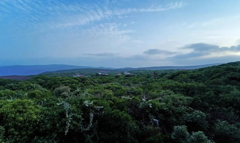 Shindola Residency