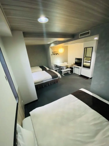 Standard Triple room