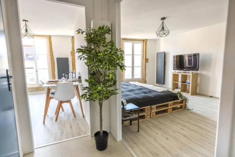 1 Bedroom Apartment