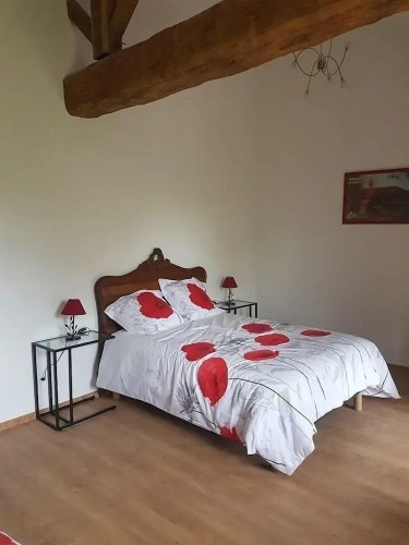 Standard Double Family room