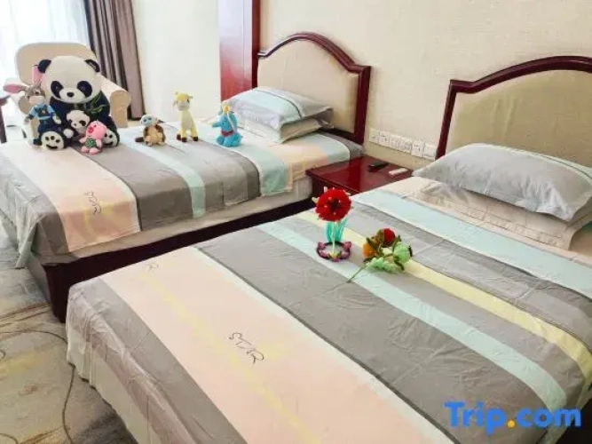 Standard Twin Family room