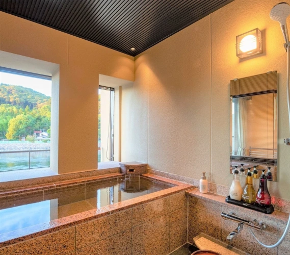 Deluxe Twin room with river view