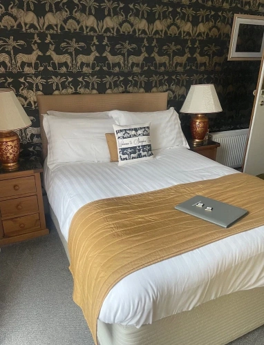 Standard Double Basement room