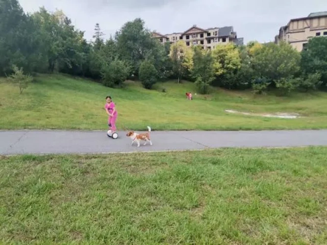 Outside