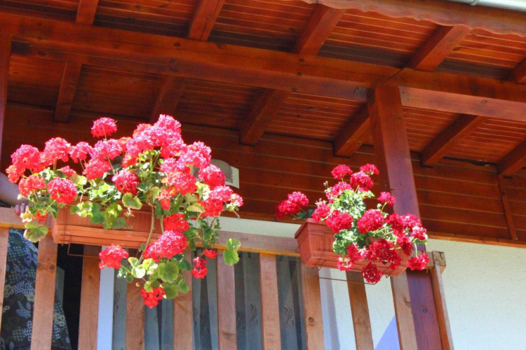 Guesthouses Prav Kamen