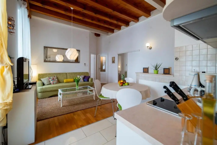 Apartment Ivo