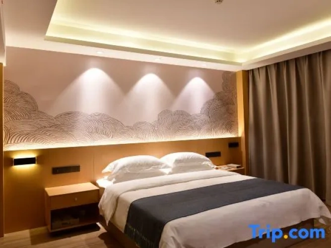 Single Suite