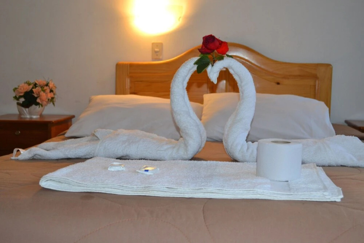 Hostal El Gran Safari
