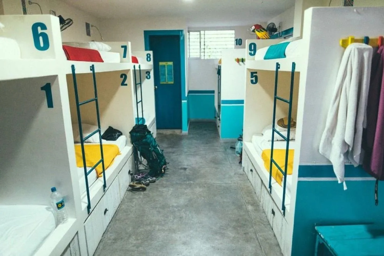 La Sucursal Hostel - Adults only