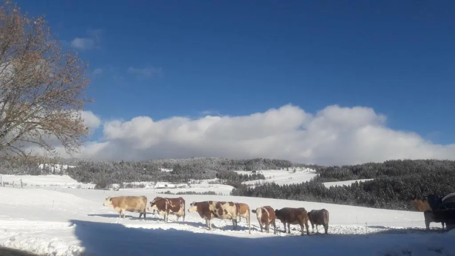 Naturpark Bauernhof Sperl
