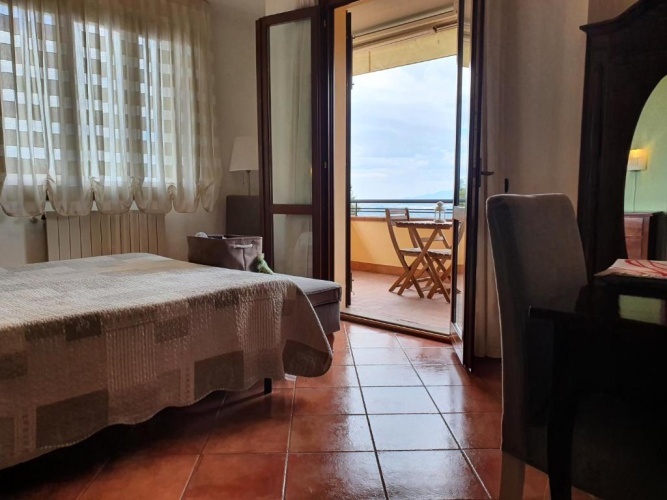 Standard Double room with balcony and with panoramic view
