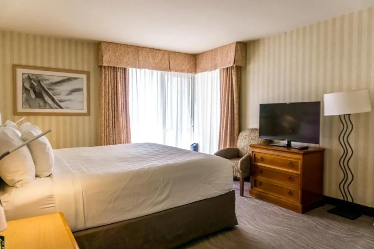 Penthouse Suite