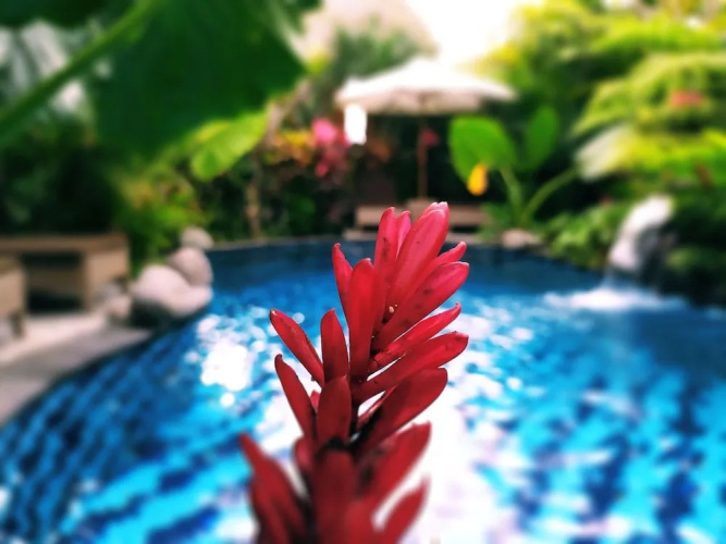 Gopala Villa Ubud