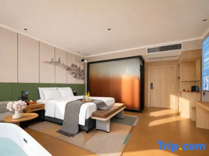 Standard Double room with city view