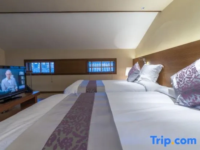 Duplex Suite