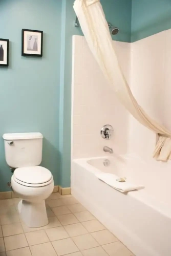 Standard Double Basement room