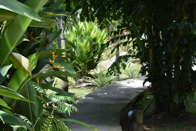 A Peace in Paradise
