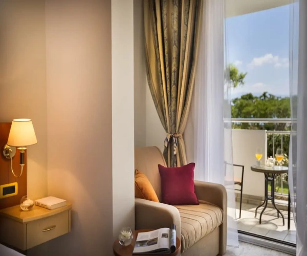 Superior Single room with balcony and with view