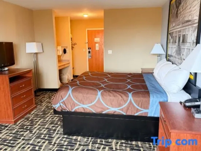 1 Bedroom Single Suite