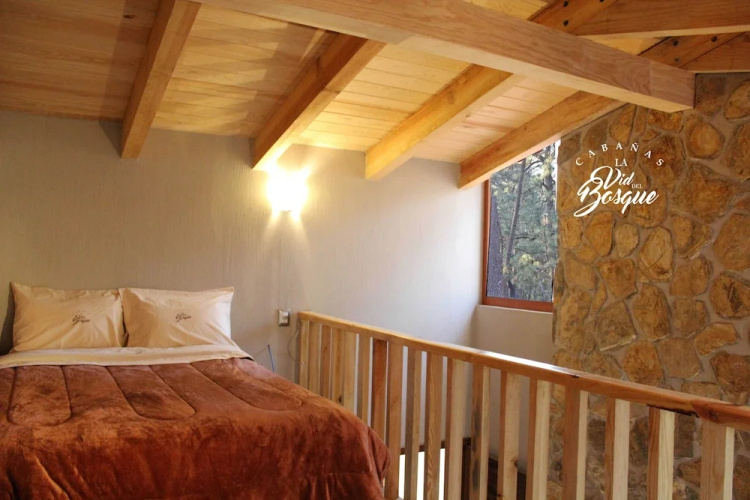 Cabañas La Vid Del Bosque