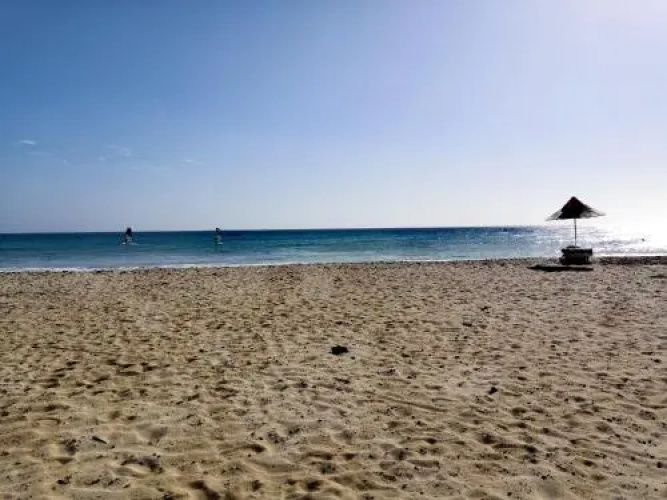 Sal Service Beachside 8
