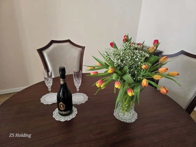 Presidential Suite with balcony and with city view