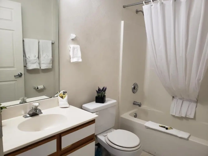 Standard Double Suite