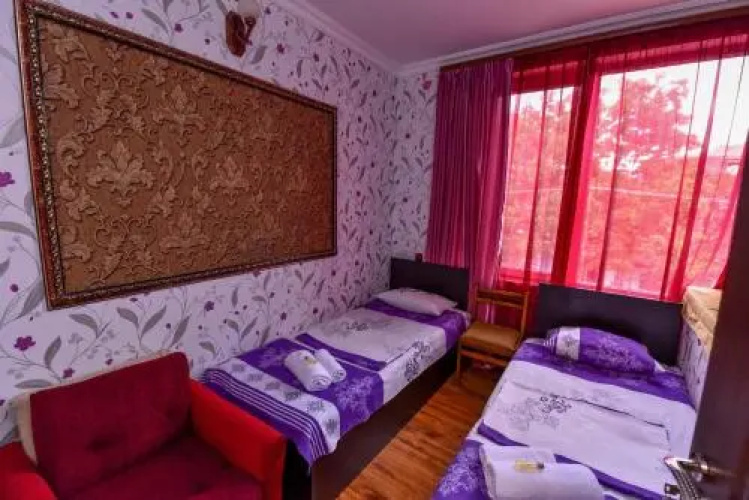 Mini House Hostel