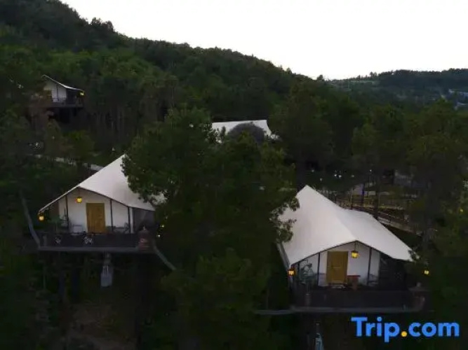 Squirrel Kingdom Forest Homestay