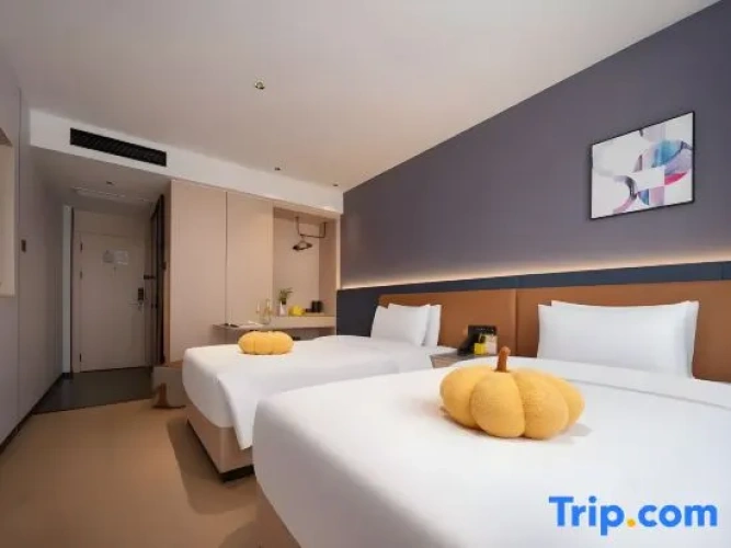 Standard Double room with city view