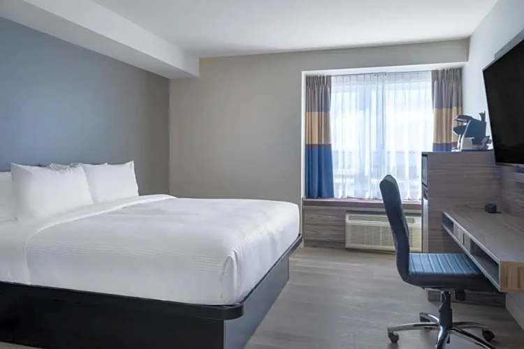Double Suite
