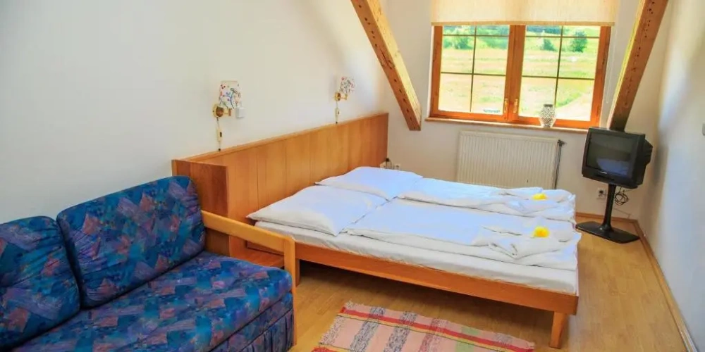 Superior Double room with mountain view