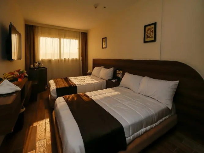 Superior Double room with balcony and with view