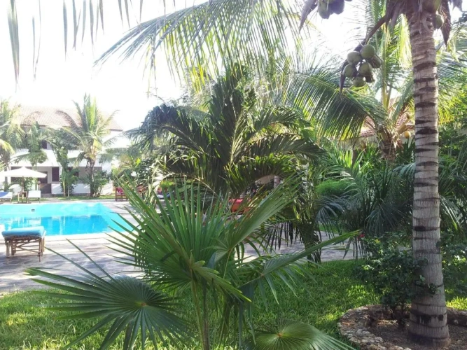 1 Bedroom Apartment with view