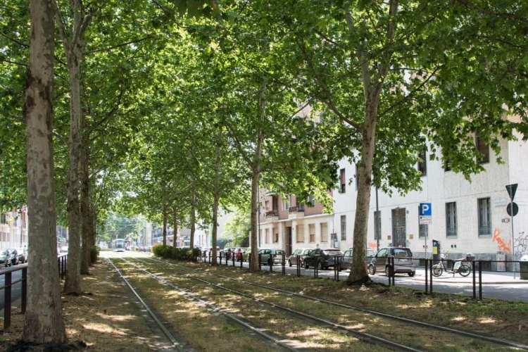 2 Bedrooms Double Apartment