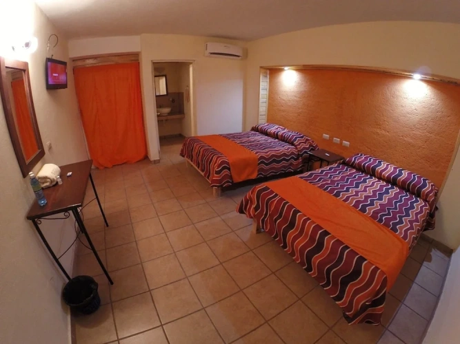 Standard Single room