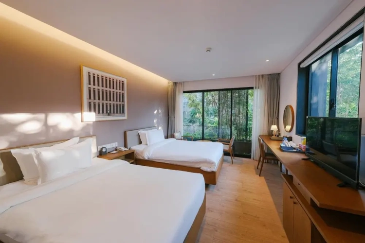Deluxe Twin room with garden view