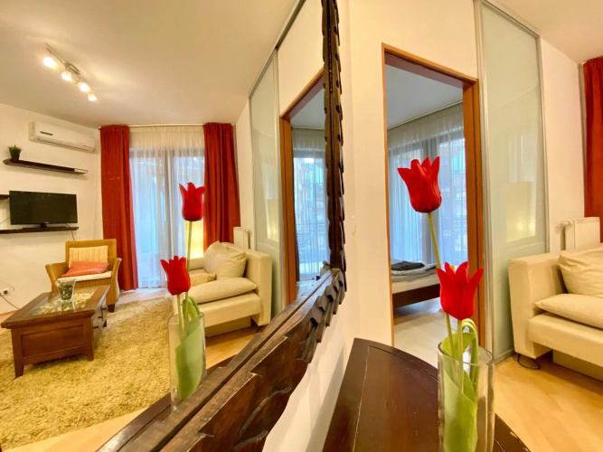 Downtown Vibe-King I apts