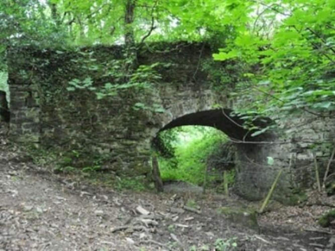Dorset Farm