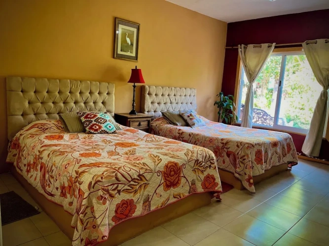 Standard Double Family room with garden view