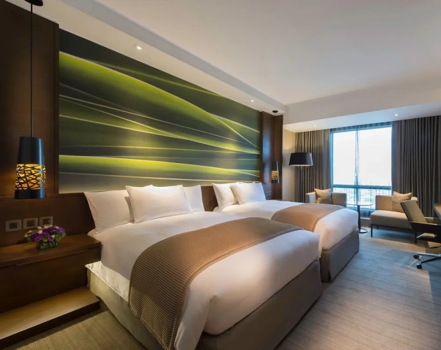 Deluxe Twin room with city view