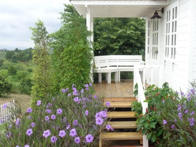 Deluxe Double room with garden view