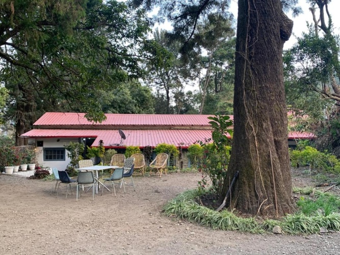 Deluxe Bungalow