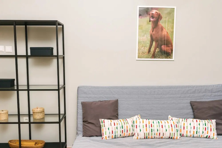 Dfive Apartments - Vizsla
