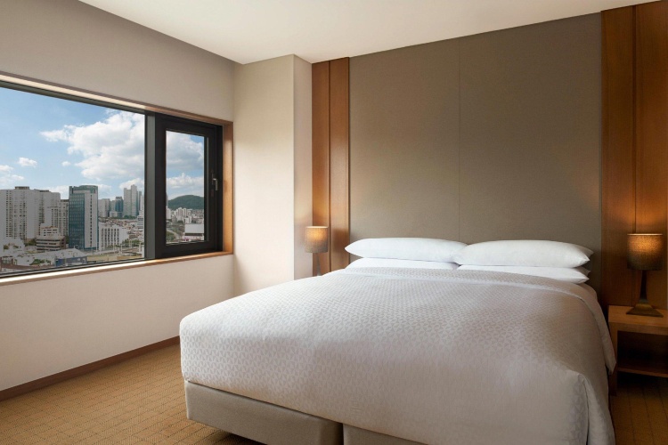 Double Suite with city view